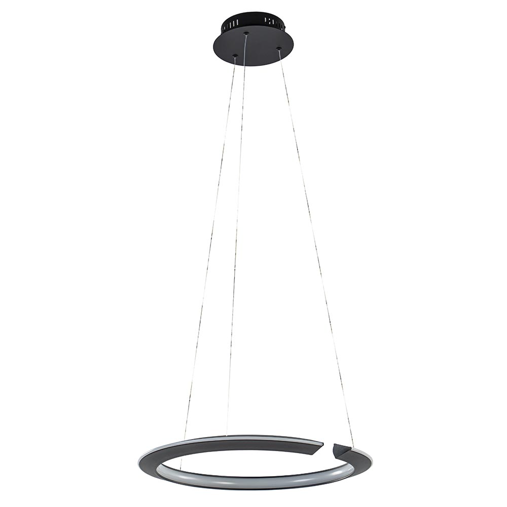 02030014 Hanglamp zwarte ring met geintegreerd LED.jpg