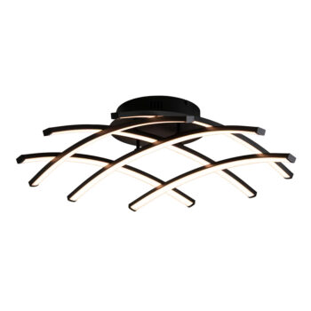 02030064 Plafondlamp zwart.jpg