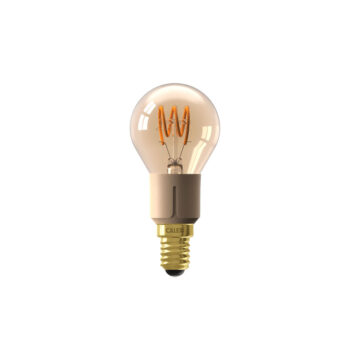 05200221 calex vintagebulb.jpg