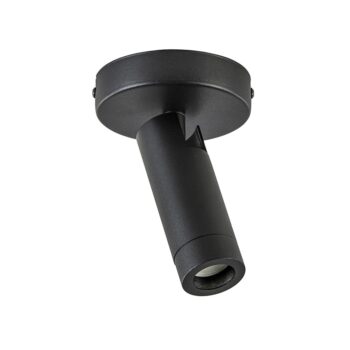 05320010 Plafondspot 1lichts mat zwart goud.jpg