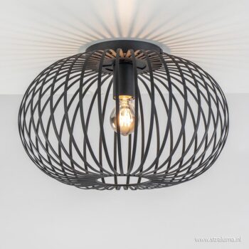 06132034 detail 1.jpg