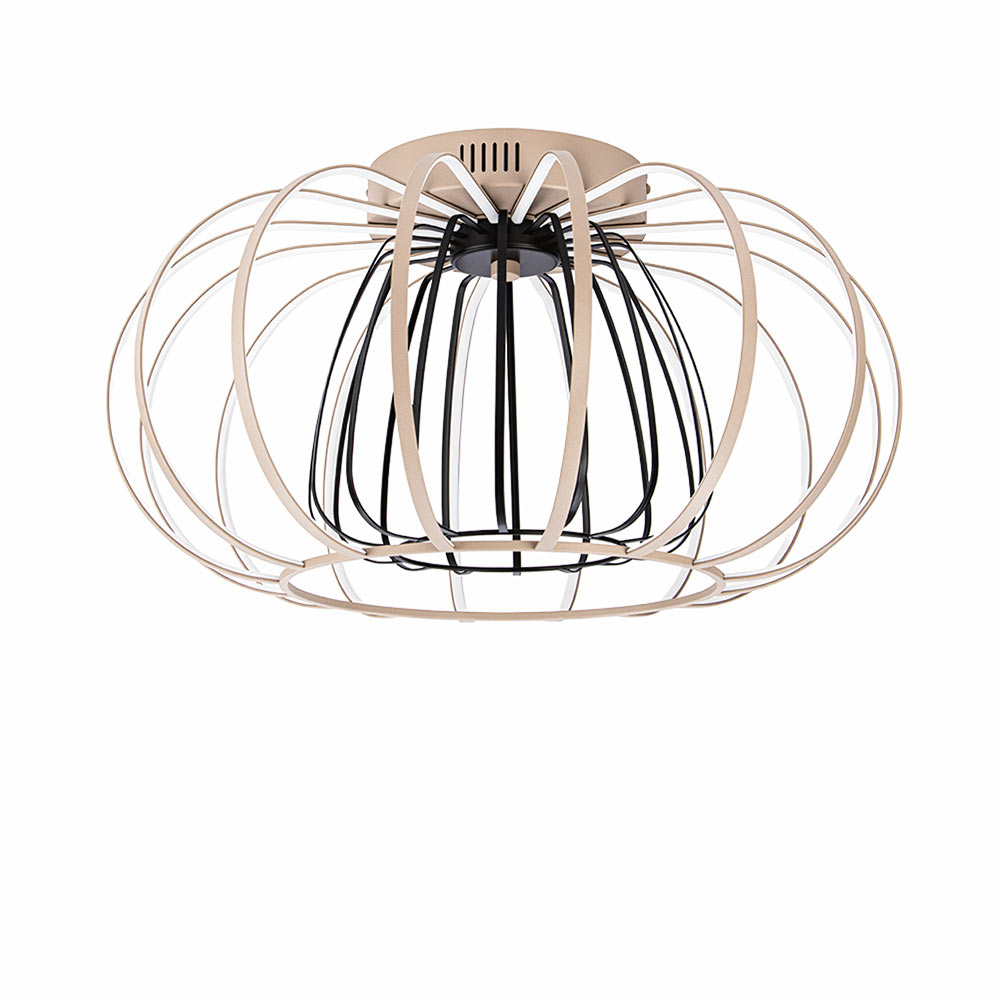 07500036 plafondlamp salo LED 2kleuren metaal.jpg