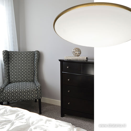 08451118 detail4.jpg