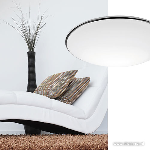 08451123 detail4.jpg