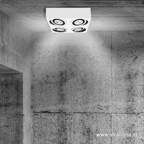 08451678 Detail2 .jpg