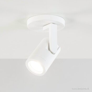 08451827 detail 1.jpg