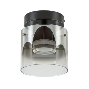 08451904 Elegante LED plafondlamp zwart met smoke helder glas.jpg