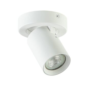 08451920 Enkele plafondspot verstelbaar mat wit GU10.jpg