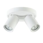 Plafondspot Oliver 2L rond tube wit gu10