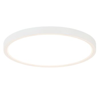 08452075 detail 1.jpg