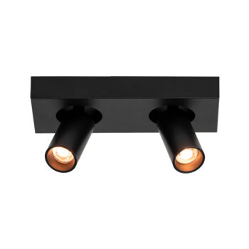 08452275 Plafondspot 2L Zwart.jpg