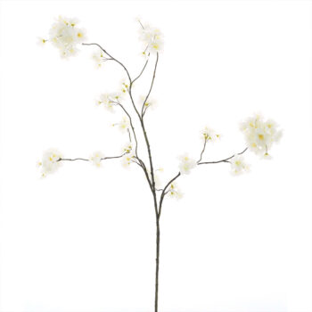 09900009 bloemen wit.jpg