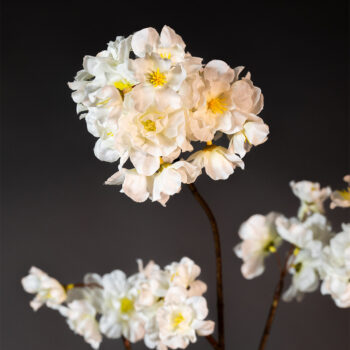 09900009 detail sfeer.jpg