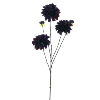 09900030 dahlia burgundy.jpg