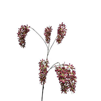 09900038 bloem roze.jpg