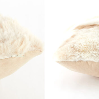 12211974 detail 1 1.jpg