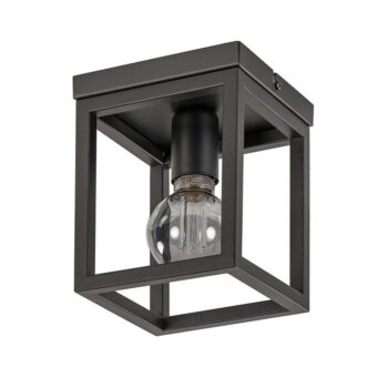 12480218 Vierkante plafondlamp frame klein zwart.jpg