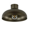 12480541 Plafondlamp koepel titanium gold.jpg