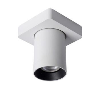 12700180 Witte opbouwspot inclusief LED dim to warm.jpg