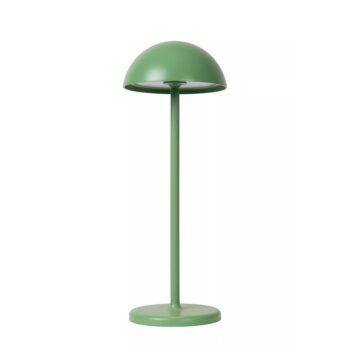 12700263 Groene LED buitenlamp op batterij oplaadbaar.jpg