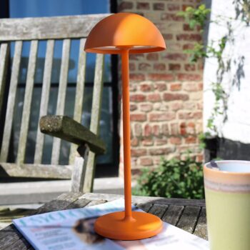 12700265 detail sfeer.jpg