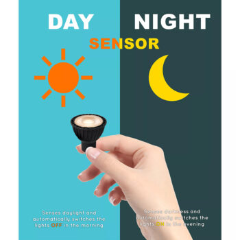 12700313 detail 1.jpg