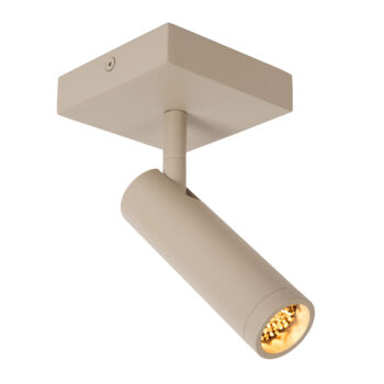 12700359 Plafondlamp taupe.jpg