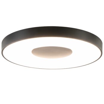 12900112 detail 1.jpg