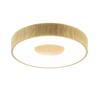 12900116 detail 1.jpg