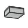 12900182 Vierkante buitenlamp dark grey plafond wand.jpg