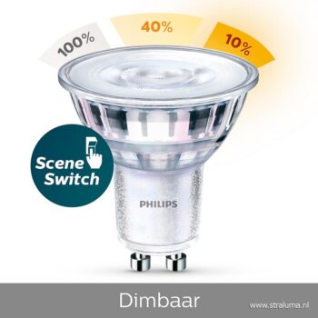 13104512 detail 1.jpg