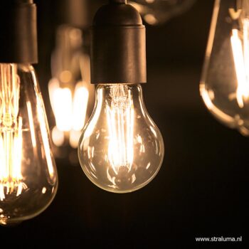 13104545 detail 1.jpg