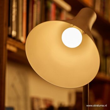 13104549 detail 1.jpg