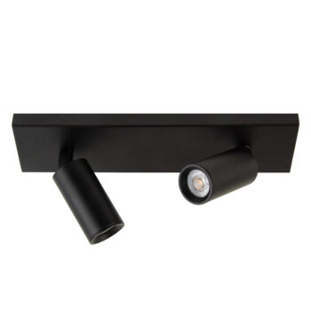 13600012 plafondlamp 2L Zwart.jpg