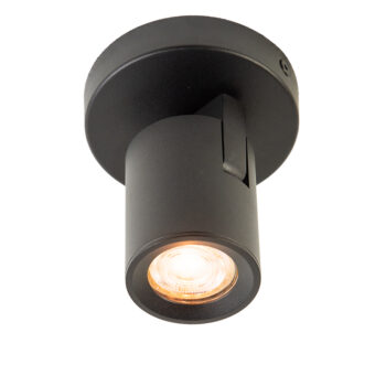 13600018 plafondlamp Zwart.jpg