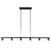 13760682 Moderne 6lichts hanglamp spots mat zwart.jpg