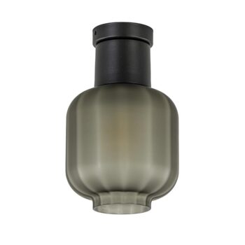 13760810 Plafondlamp zwart met mat zwarte glazen kap.jpg