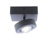 14230595 Smart plafondlamp met lens antraciet.jpg
