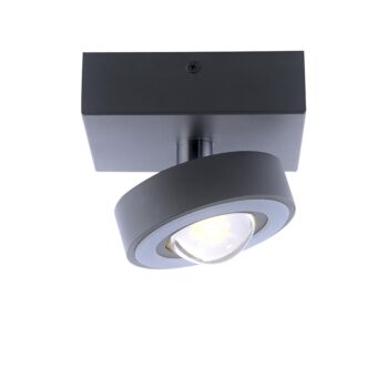 14230595 Smart plafondlamp met lens antraciet.jpg