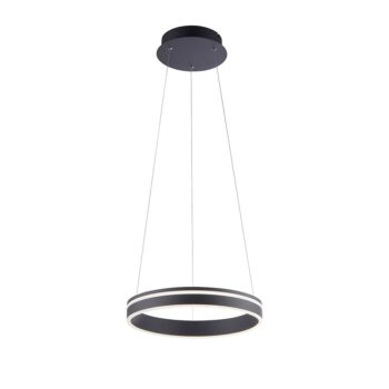 14230607 Smart hanglamp ring inclusief LED en remote antraciet.jpg