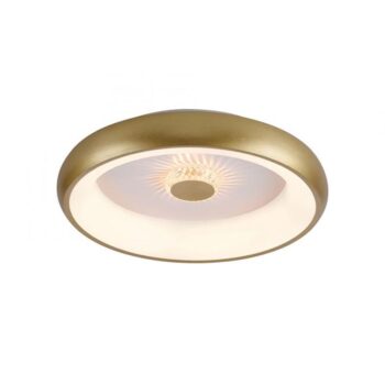 14230777 Moderne LED plafondlamp mat goud met remote dimbaar.jpg