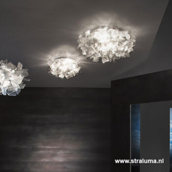 19000008 detail3 .jpg