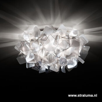 19000011 detail1 .jpg