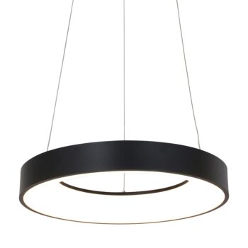 19771612 Zwarte hanglamp ring inclusief LED.jpg