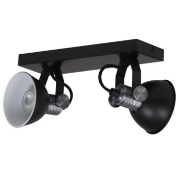 19771661 Industriele 2lichts plafondlamp met ronde spots.jpg