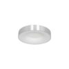 19771689 Zilveren LED plafondlamp rond 30cm.jpg