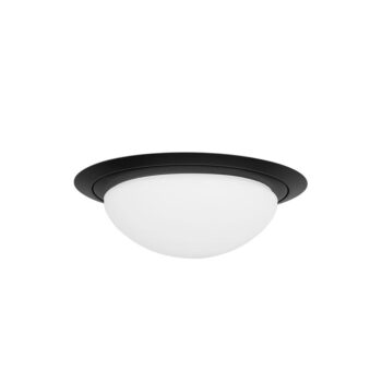 19771713 Kleine LED plafondlamp zwart met wit glas IP44.jpg