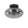 19771725 Plafondlamp zwart met smoke glas 25cm.jpg