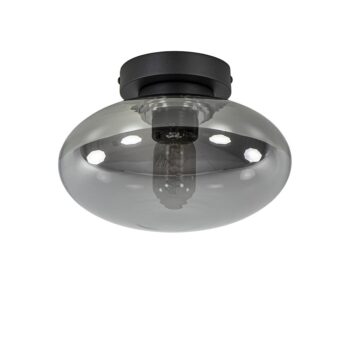 19771725 Plafondlamp zwart met smoke glas 25cm.jpg