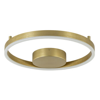 19771749 Design LED plafond wandlamp ring goud.jpg